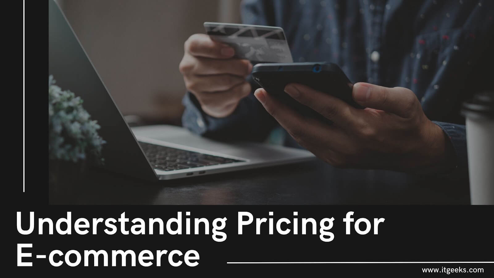 Understanding Pricing for E-commerce (1)
