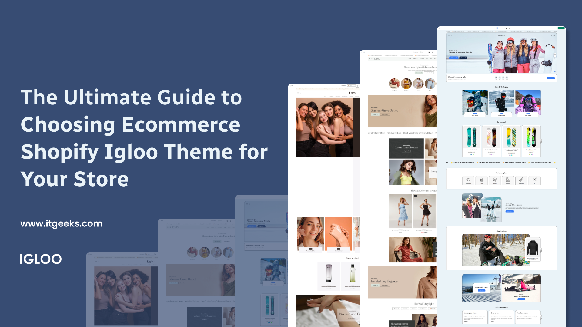 The Ultimate Guide to Choosing Ecommerce Shopify Igloo Theme for Your Store