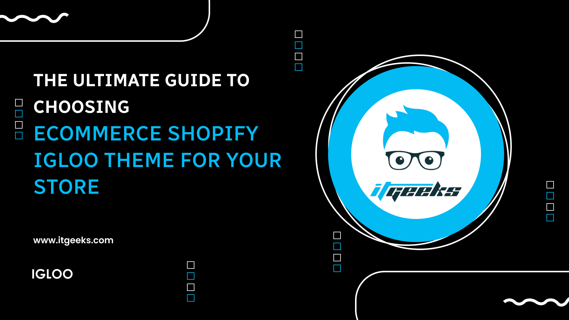 The Ultimate Guide to Choosing Ecommerce Shopify Igloo Theme for Your Store