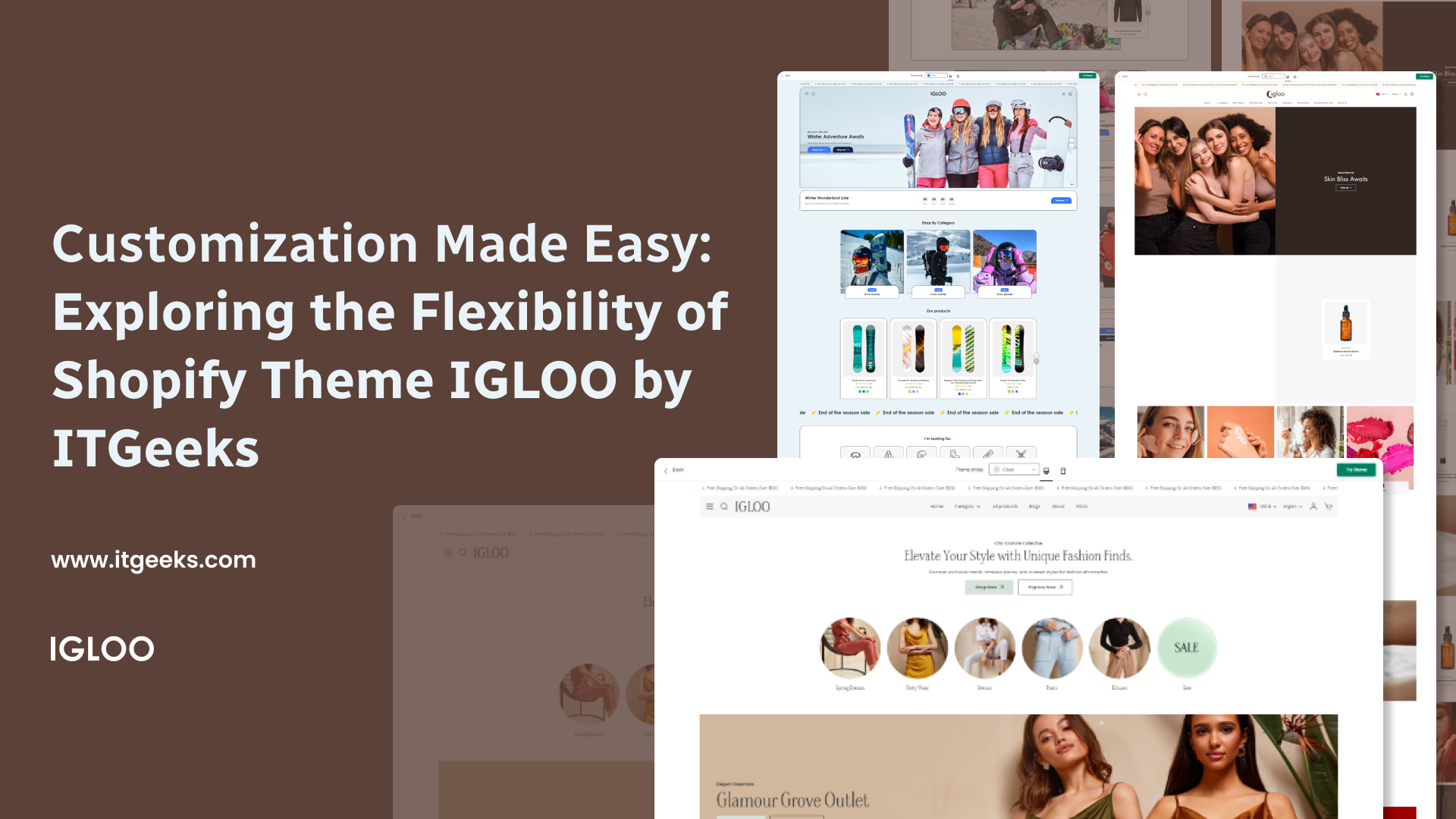 Customization Made Easy: Exploring the Flexibility of Shopify Theme IGLOO by ITGeeks