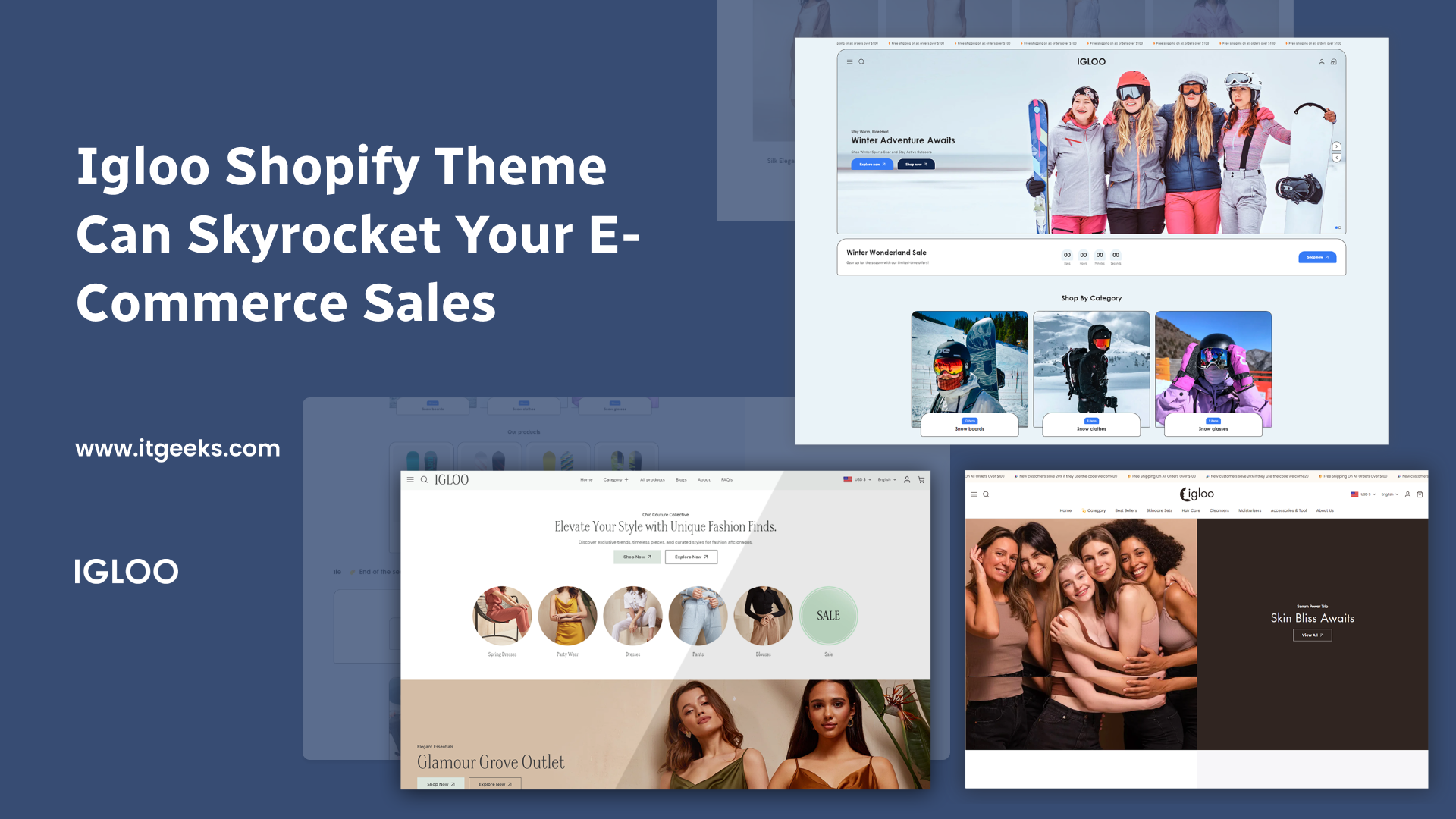 Igloo Shopify Theme Can Skyrocket Your E-Commerce Sales