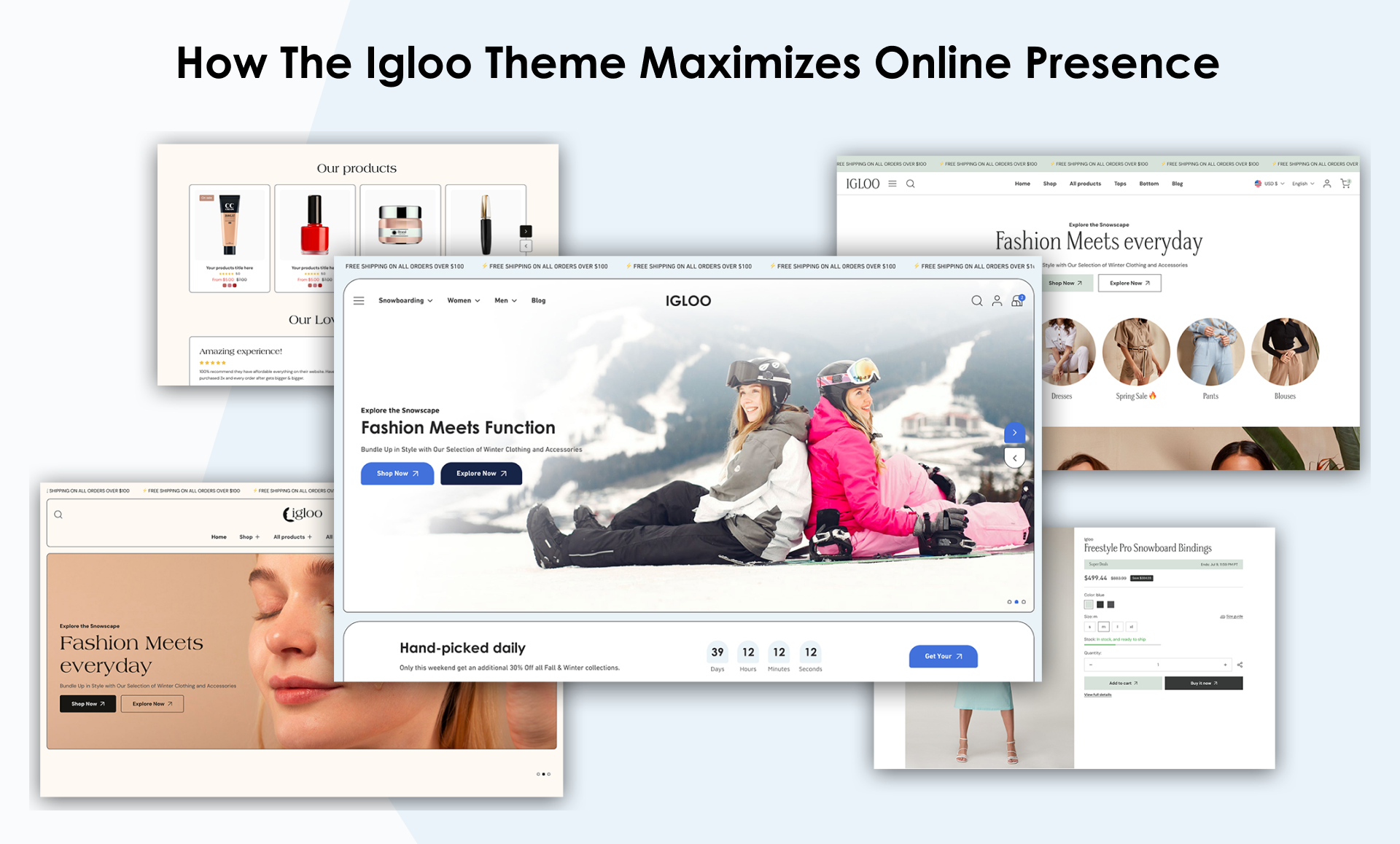 How the Igloo Theme Maximizes Online Presence