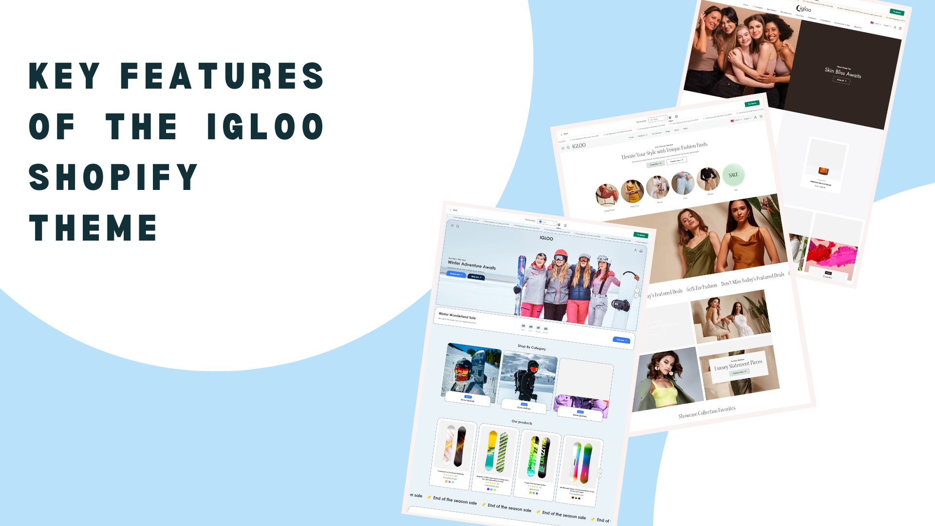 Key Features of the Igloo Shopify Theme