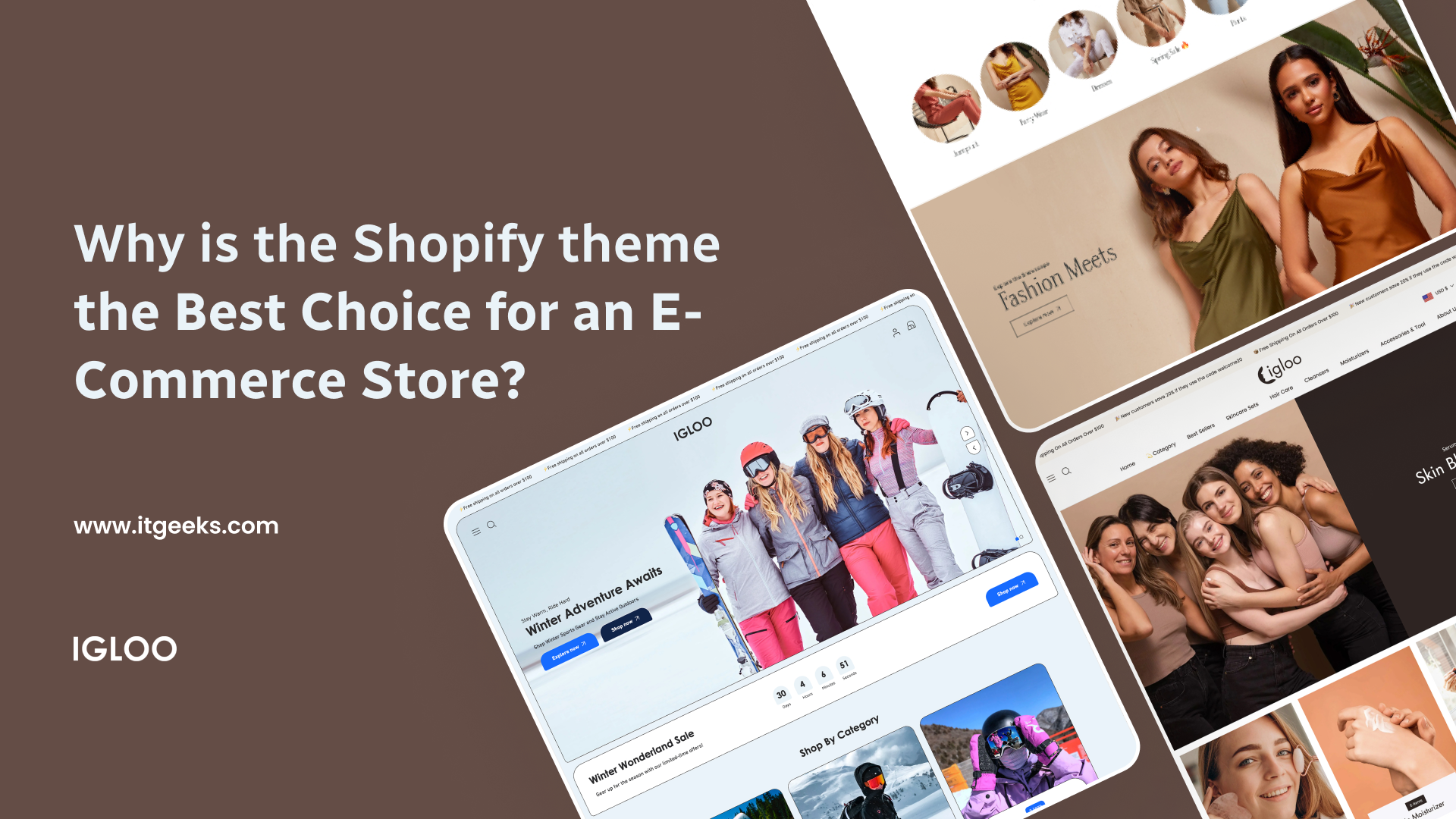 Why is the Shopify theme the best choice for an e-commerce store